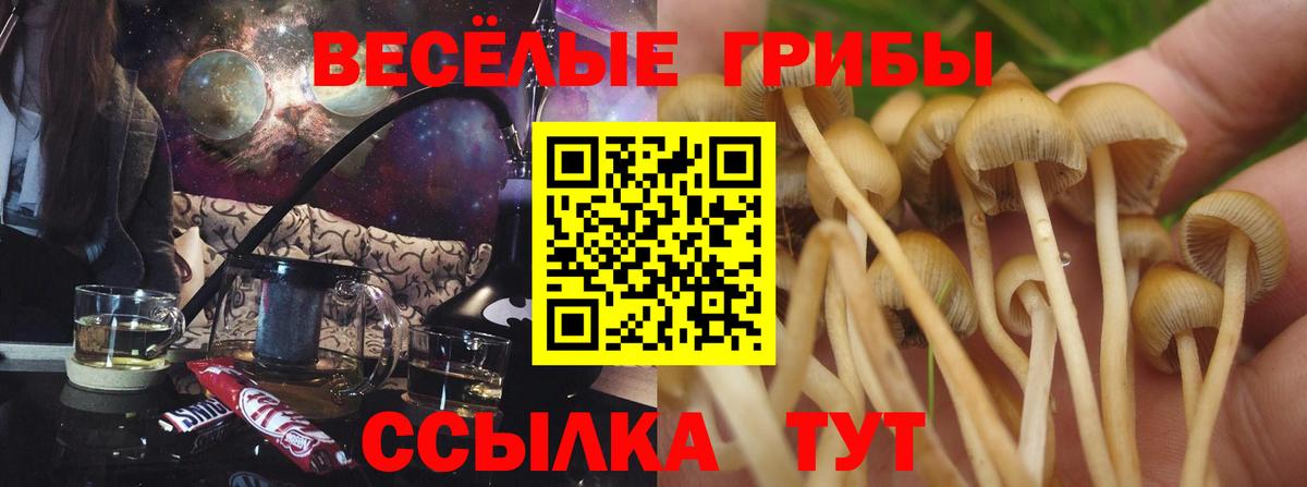 Томск  Галлюциногенные грибы ЛСД  Вход с VPN 